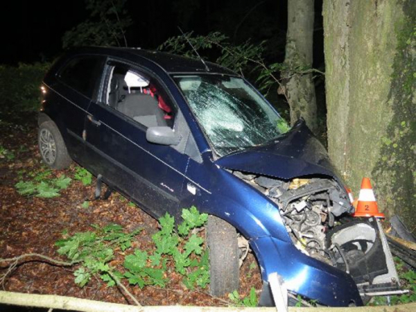 Řidička automobilu dostala na mokré vozovce smyk a narazila do stromu, následně z místa nehody utekla