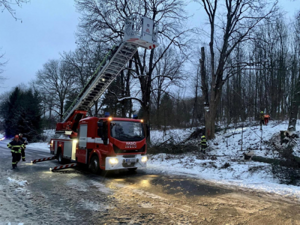 Na Trutnovsku spadl na projíždějící automobil strom, řidič nehodu nepřežil